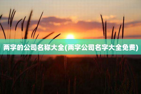 两字的公司名称大全(两字公司名字大全免费)