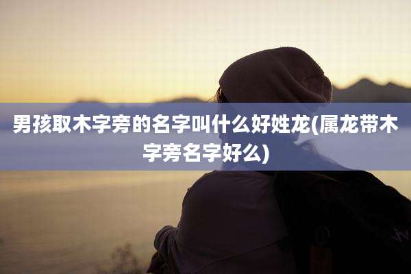 男孩取木字旁的名字叫什么好姓龙(属龙带木字旁名字好么)