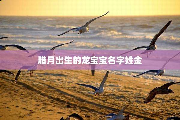 腊月出生的龙宝宝名字姓金
