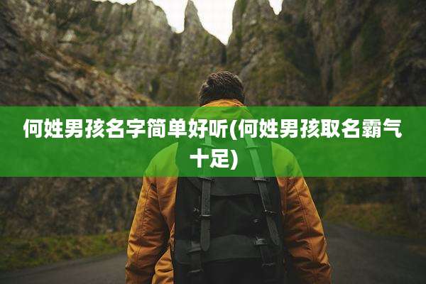 何姓男孩名字简单好听(何姓男孩取名霸气十足)