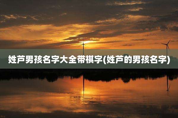 姓芦男孩名字大全带祺字(姓芦的男孩名字)