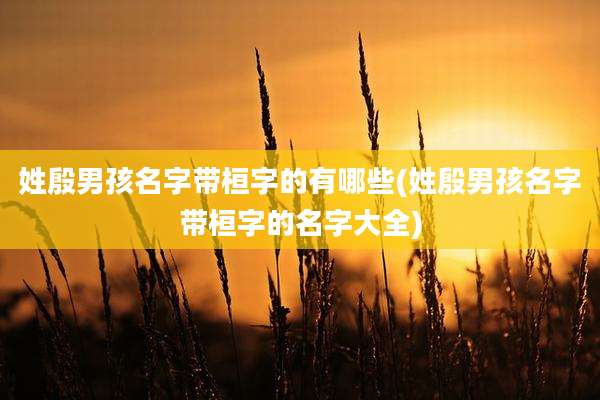 姓殷男孩名字带桓字的有哪些(姓殷男孩名字带桓字的名字大全)