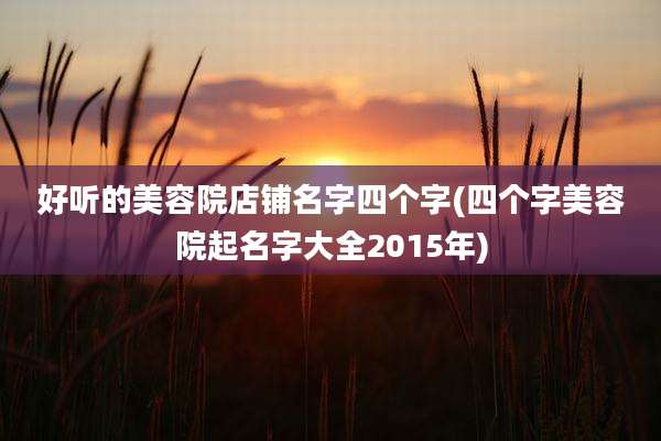 好听的美容院店铺名字四个字(四个字美容院起名字大全2015年)