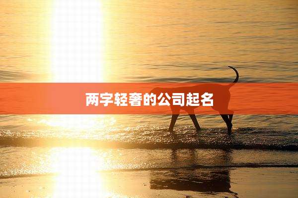 两字轻奢的公司起名