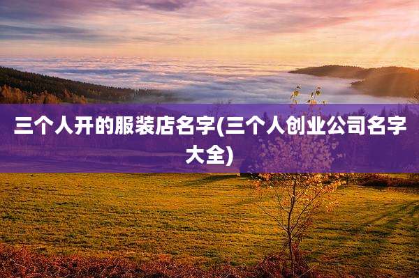 三个人开的服装店名字(三个人创业公司名字大全)