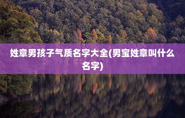 姓章男孩子气质名字大全(男宝姓章叫什么名字)