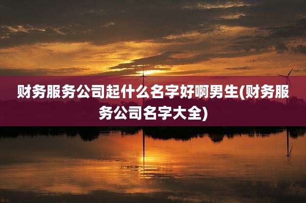 财务服务公司起什么名字好啊男生(财务服务公司名字大全)