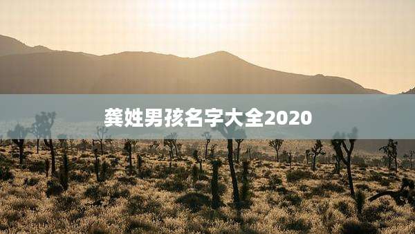 龚姓男孩名字大全2020