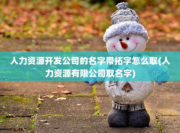 人力资源开发公司的名字带拓字怎么取(人力资源有限公司取名字)
