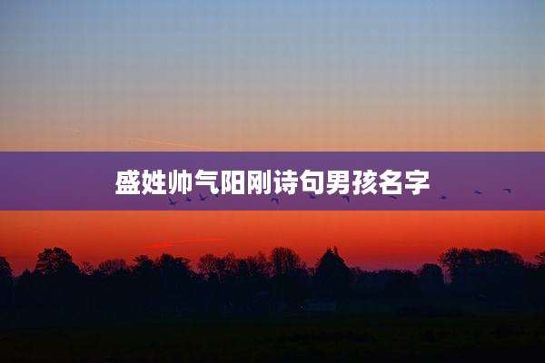 盛姓帅气阳刚诗句男孩名字