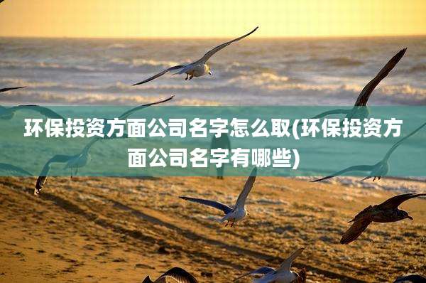 环保投资方面公司名字怎么取(环保投资方面公司名字有哪些)