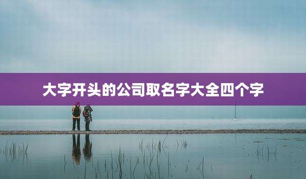 大字开头的公司取名字大全四个字