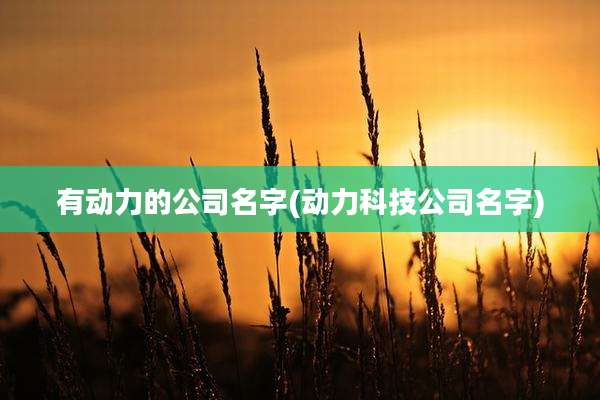 有动力的公司名字(动力科技公司名字)