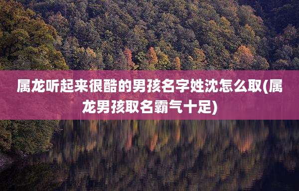 属龙听起来很酷的男孩名字姓沈怎么取(属龙男孩取名霸气十足)