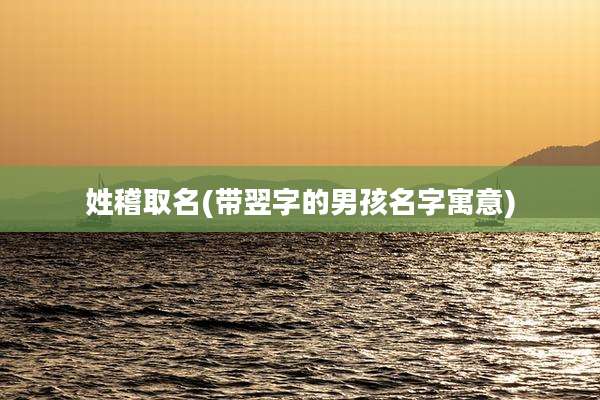 姓稽取名(带翌字的男孩名字寓意)