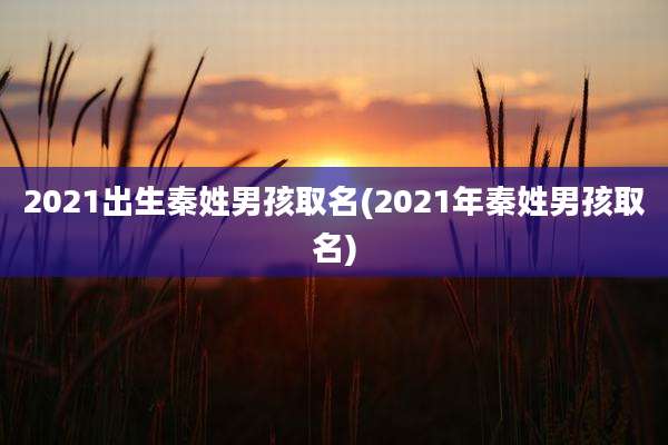 2021出生秦姓男孩取名(2021年秦姓男孩取名)
