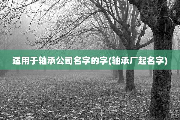 适用于轴承公司名字的字(轴承厂起名字)