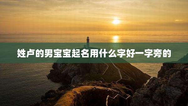 姓卢的男宝宝起名用什么字好一字旁的