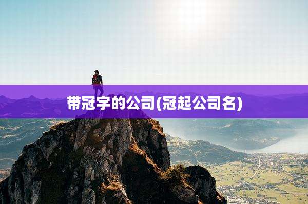 带冠字的公司(冠起公司名)