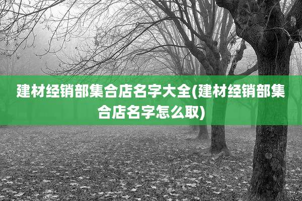 建材经销部集合店名字大全(建材经销部集合店名字怎么取)
