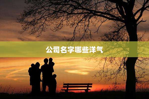 公司名字哪些洋气