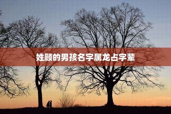 姓顾的男孩名字属龙占字辈