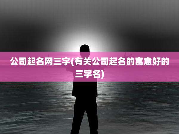 公司起名网三字(有关公司起名的寓意好的三字名)