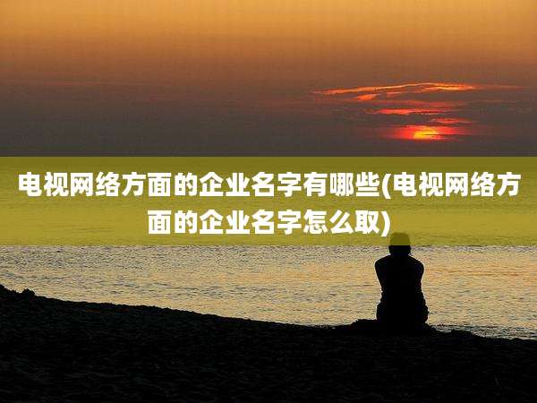 电视网络方面的企业名字有哪些(电视网络方面的企业名字怎么取)