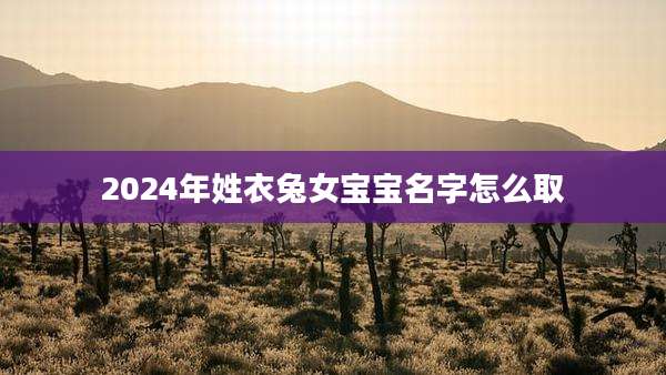 2024年姓衣兔女宝宝名字怎么取
