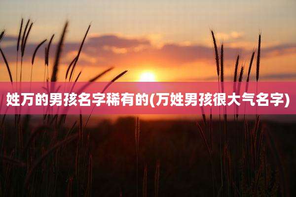 姓万的男孩名字稀有的(万姓男孩很大气名字)