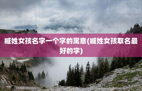 臧姓女孩名字一个字的寓意(臧姓女孩取名最好的字)
