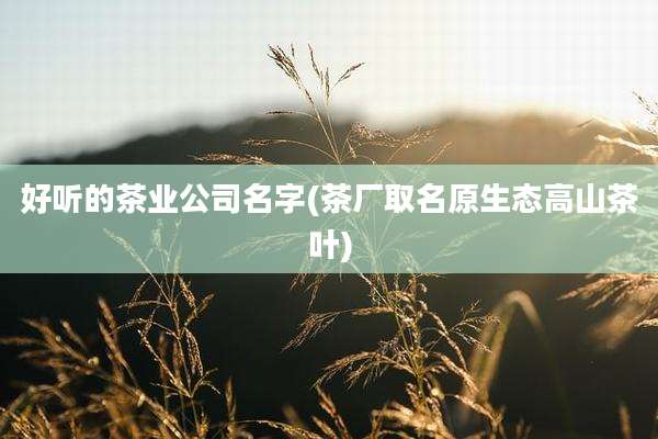 好听的茶业公司名字(茶厂取名原生态高山茶叶)