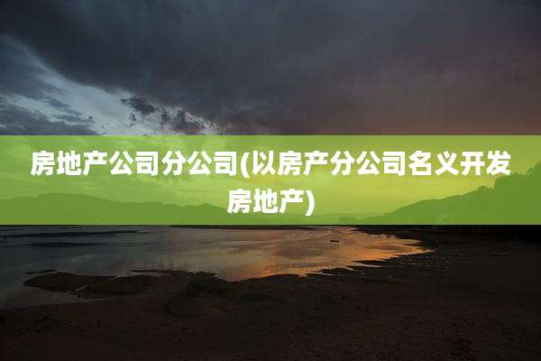 房地产公司分公司(以房产分公司名义开发房地产)