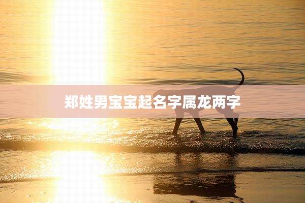 郑姓男宝宝起名字属龙两字