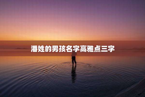 潘姓的男孩名字高雅点三字