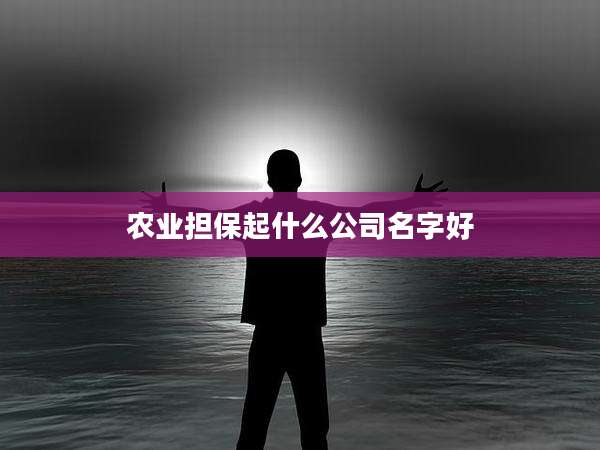 农业担保起什么公司名字好