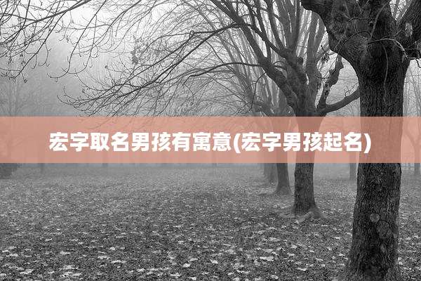 宏字取名男孩有寓意(宏字男孩起名)