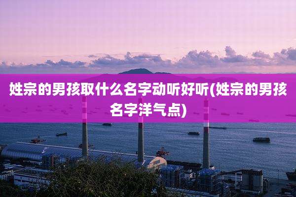 姓宗的男孩取什么名字动听好听(姓宗的男孩名字洋气点)