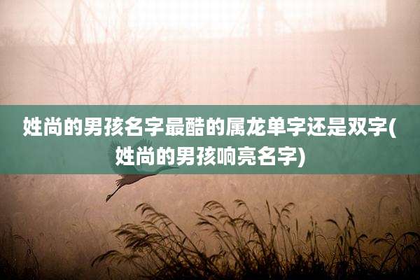 姓尚的男孩名字最酷的属龙单字还是双字(姓尚的男孩响亮名字)