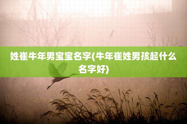 姓崔牛年男宝宝名字(牛年崔姓男孩起什么名字好)