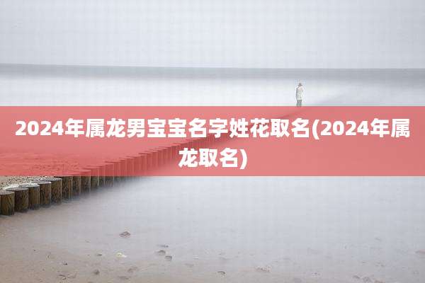 2024年属龙男宝宝名字姓花取名(2024年属龙取名)