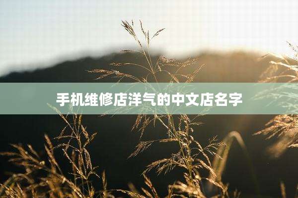 手机维修店洋气的中文店名字
