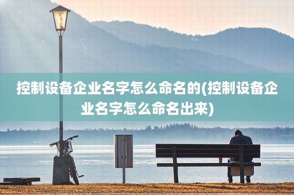 控制设备企业名字怎么命名的(控制设备企业名字怎么命名出来)