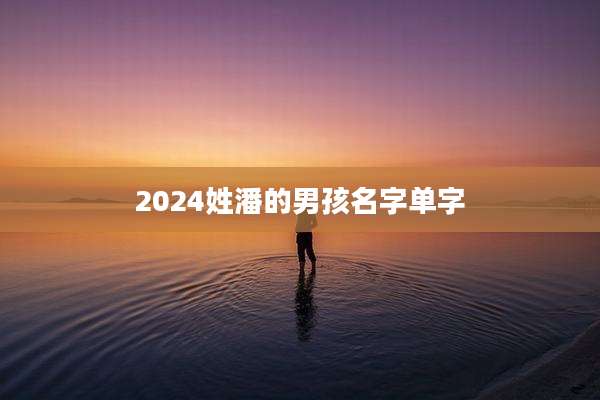 2024姓潘的男孩名字单字