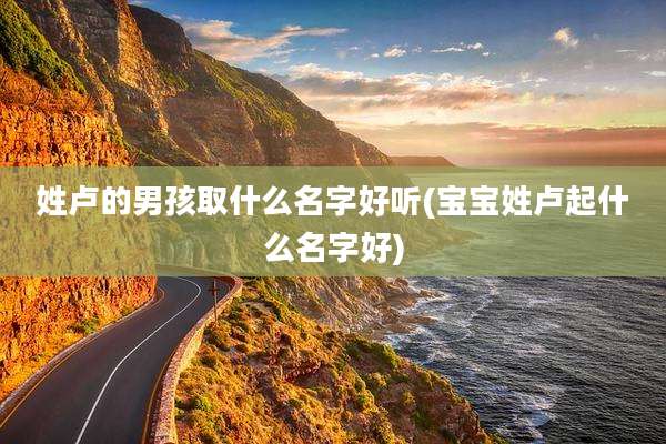 姓卢的男孩取什么名字好听(宝宝姓卢起什么名字好)