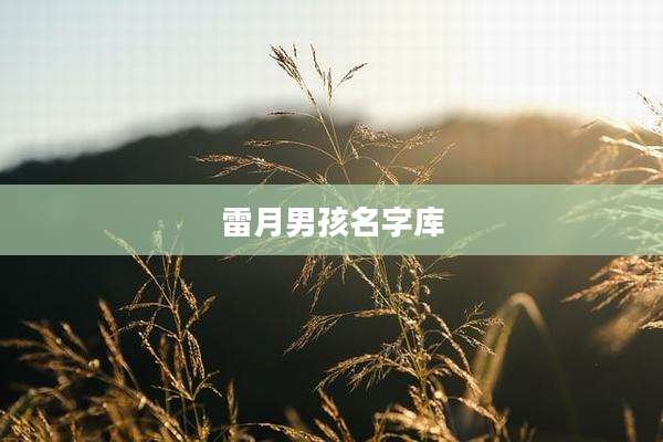 雷月男孩名字库