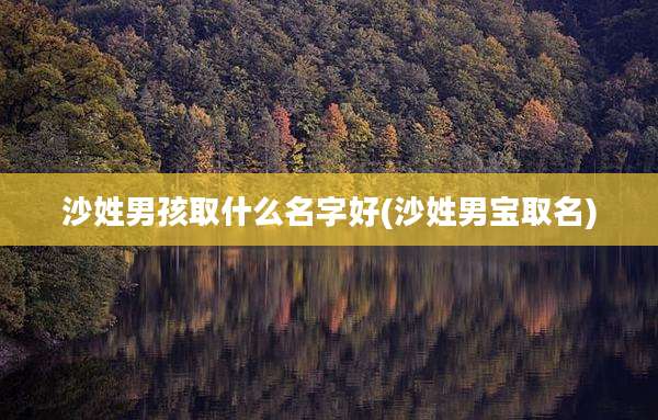 沙姓男孩取什么名字好(沙姓男宝取名)