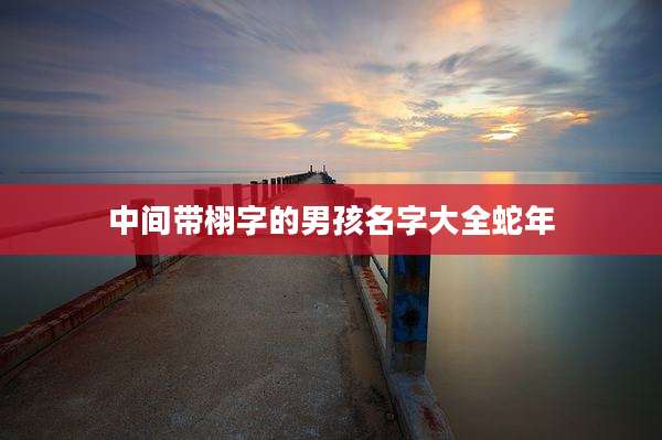 中间带栩字的男孩名字大全蛇年