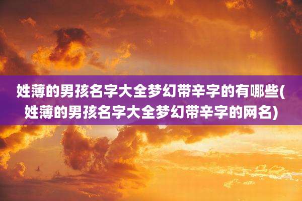 姓薄的男孩名字大全梦幻带辛字的有哪些(姓薄的男孩名字大全梦幻带辛字的网名)