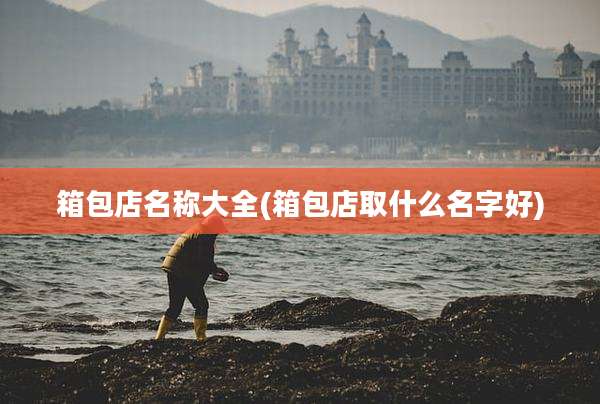 箱包店名称大全(箱包店取什么名字好)